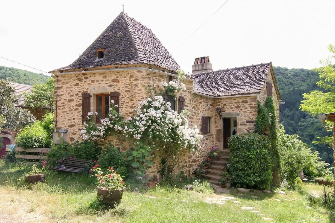 Gite La Maisonnette La Petite Joulinie Bor-et-Bar France